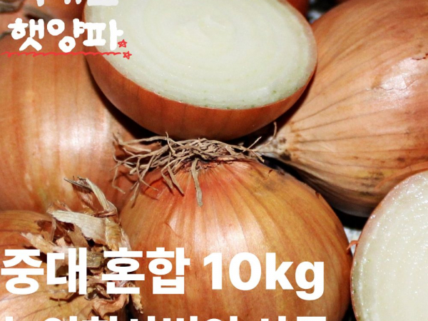 [이삭솔루션]무안 햇양파 중대 10kg