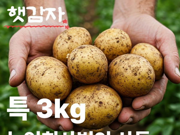 [이삭솔루션] 국내산 햇감자 특 3kg