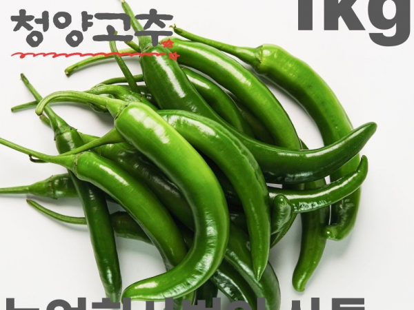 [이삭솔루션] 국내산 청양고추 1kg