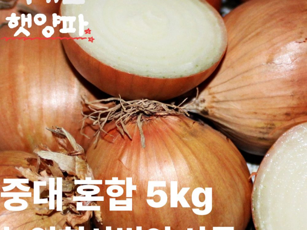 [이삭솔루션]무안 햇양파 중대 5kg