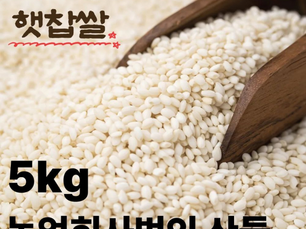 [이삭솔루션] 국내산 찹쌀 5kg
