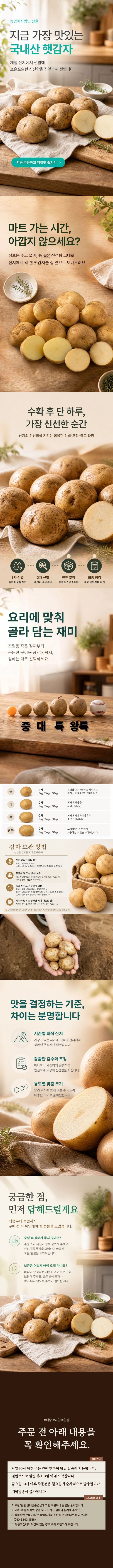 [이삭솔루션] 국내산 햇감자 특 3kg