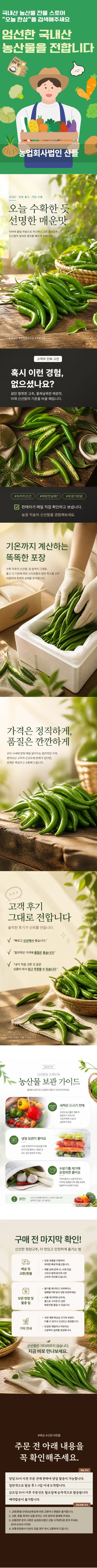 [이삭솔루션] 국내산 청양고추 1kg